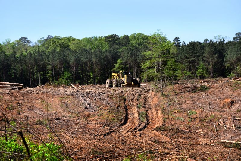 Lake Lot Clearing in Marietta, GA
